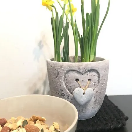 Apartament City Apartments