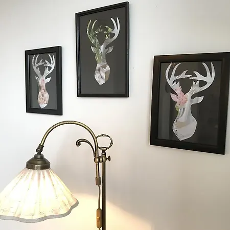 Apartament City Apartments