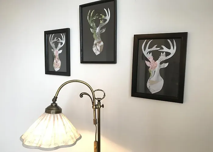 شقة City Apartments